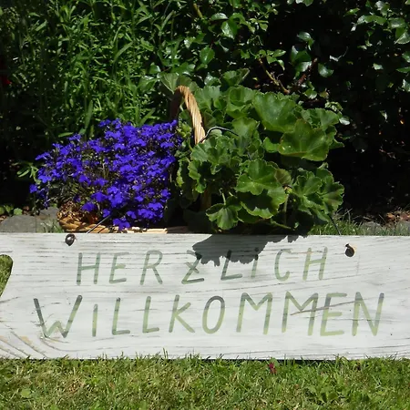 Guest house Alte Muehle