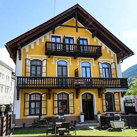 Alte Muehle Гмюнд