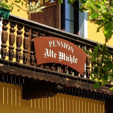 Alte Muehle Casa de hóspedes 3*