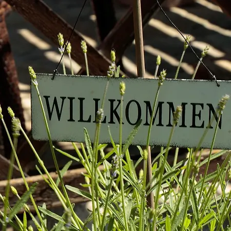 Guest house Alte Muehle