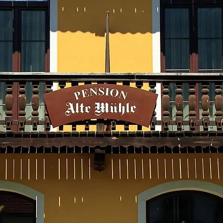 Gasthuis Alte Muehle 3*