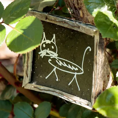 Alte Muehle 3* Gmünd