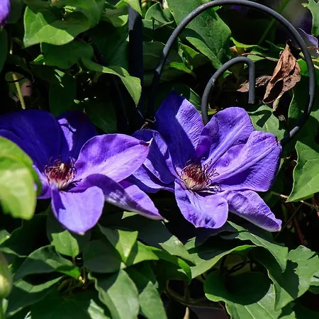 Alte Muehle Gæstehus Gmünd