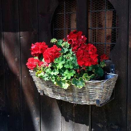 Alte Muehle Gmund in Karnten