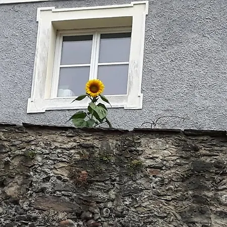 Alte Muehle 3*