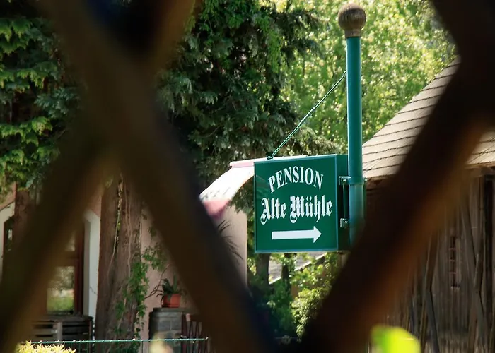 Guest house Alte Muehle 3*
