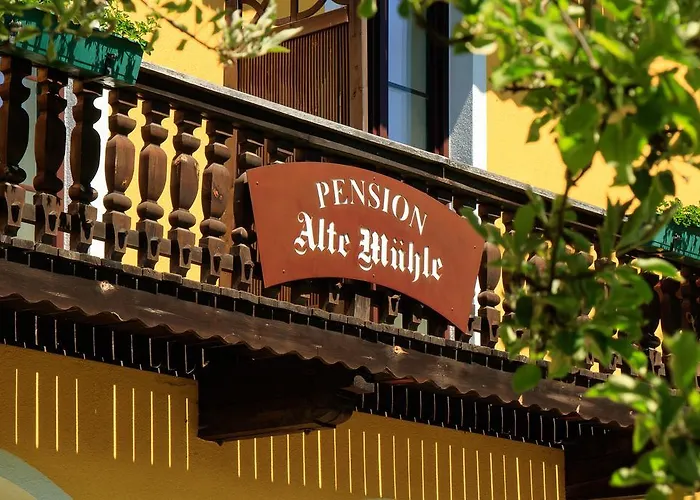 Alte Muehle Pensionat 3*