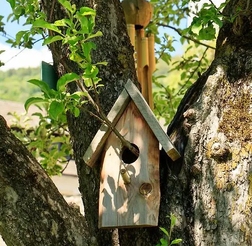 Guest house Alte Muehle Gmund in Karnten