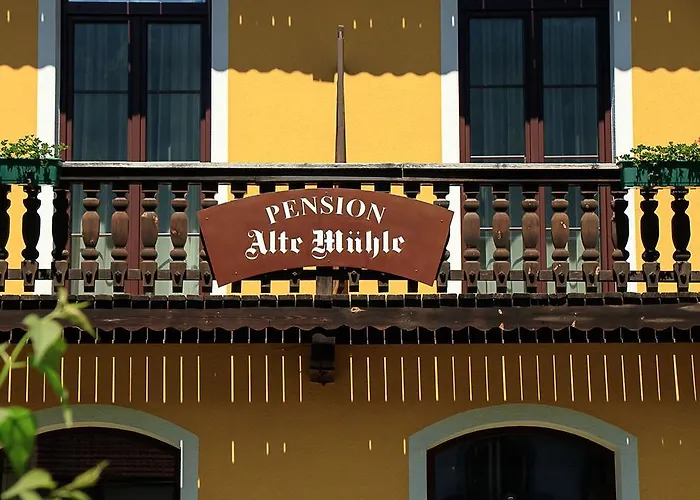 Pensionat Alte Muehle 3*