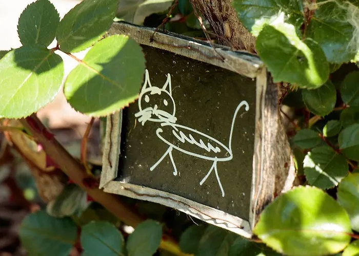 Alte Muehle 3* Gmünd