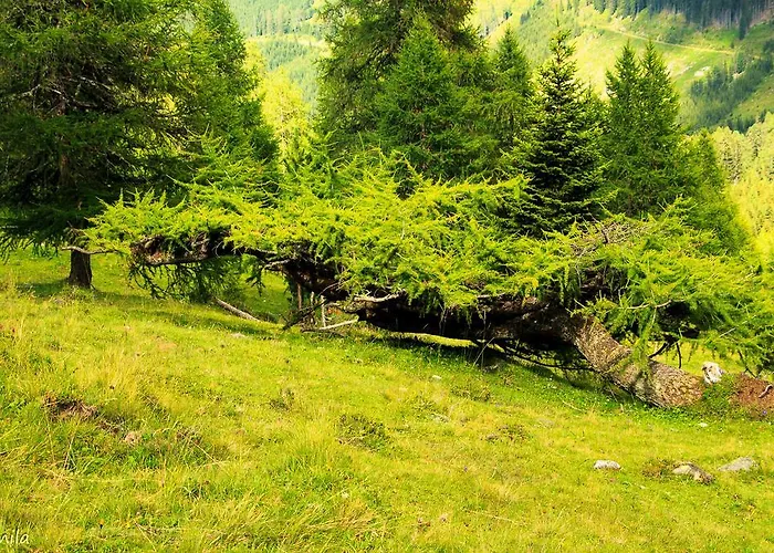 Pensionat Alte Muehle