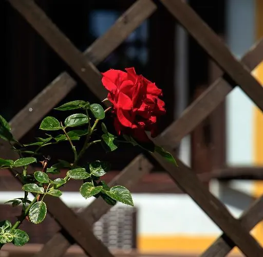 Pensionat Alte Muehle 3*