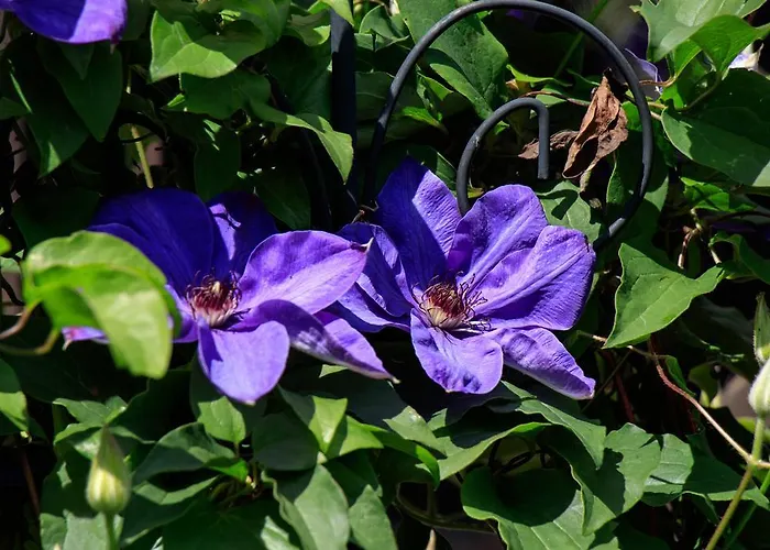 Alte Muehle Pensionat Gmünd