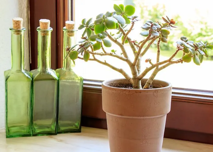 Alte Muehle Pensionat Gmünd