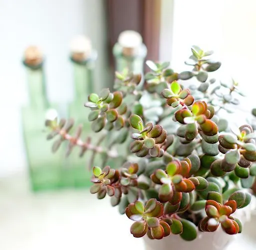 Pensionat Alte Muehle