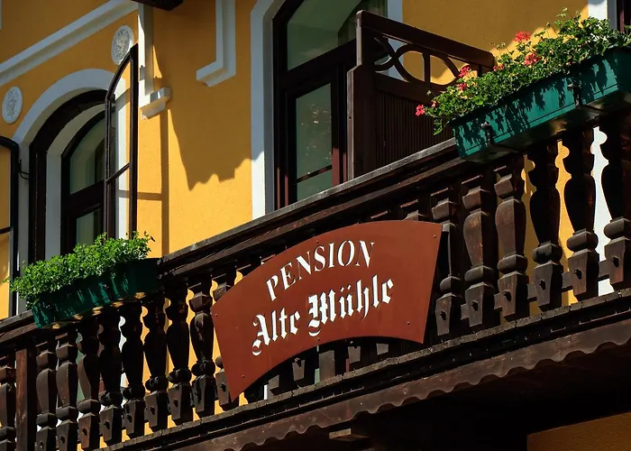 Pensionat Alte Muehle Gmünd